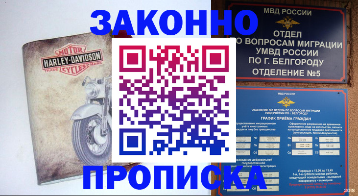 прописка для школы в Кинеле